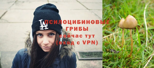 MDMA Premium VHQ Гусиноозёрск