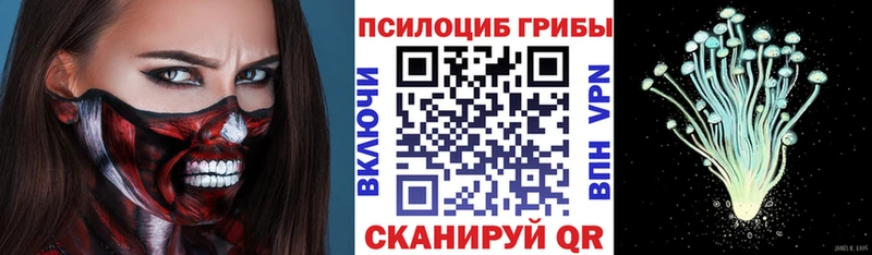 где найти   Норильск  Псилоцибиновые грибы MAGIC MUSHROOMS 